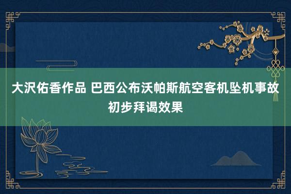 大沢佑香作品 巴西公布沃帕斯航空客机坠机事故初步拜谒效果