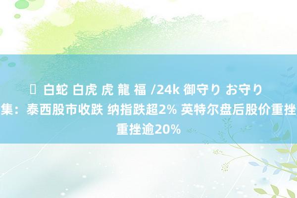 ✨白蛇 白虎 虎 龍 福 /24k 御守り お守り 众人市集：泰西股市收跌 纳指跌超2% 英特尔盘后股价重挫逾20%