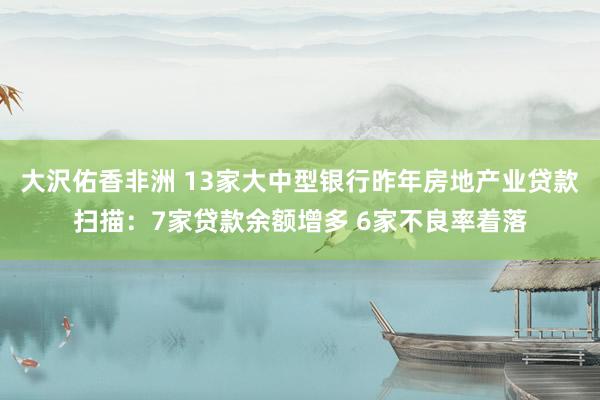 大沢佑香非洲 13家大中型银行昨年房地产业贷款扫描：7家贷款余额增多 6家不良率着落