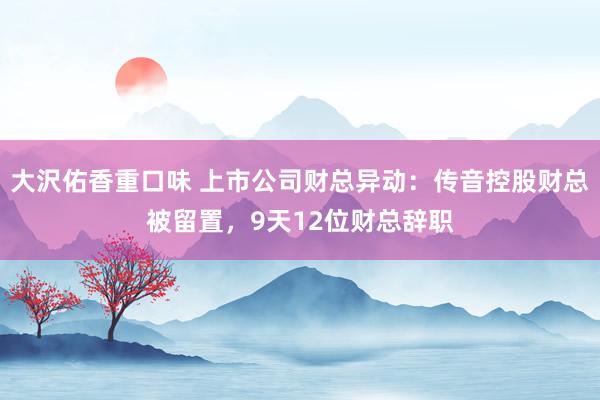 大沢佑香重口味 上市公司财总异动：传音控股财总被留置，9天12位财总辞职