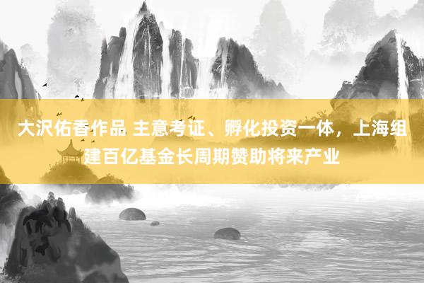 大沢佑香作品 主意考证、孵化投资一体，上海组建百亿基金长周期赞助将来产业