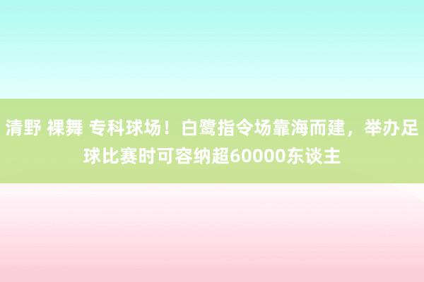 清野 裸舞 专科球场！白鹭指令场靠海而建，举办足球比赛时可容纳超60000东谈主