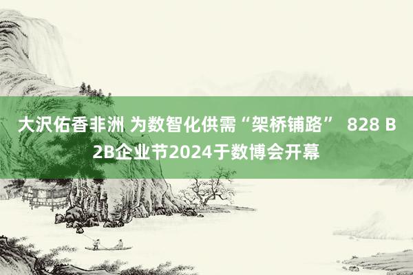 大沢佑香非洲 为数智化供需“架桥铺路”  828 B2B企业节2024于数博会开幕