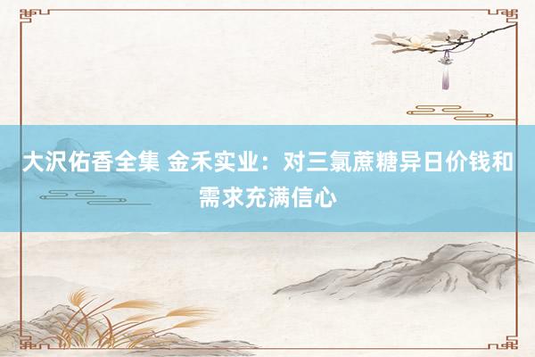 大沢佑香全集 金禾实业：对三氯蔗糖异日价钱和需求充满信心