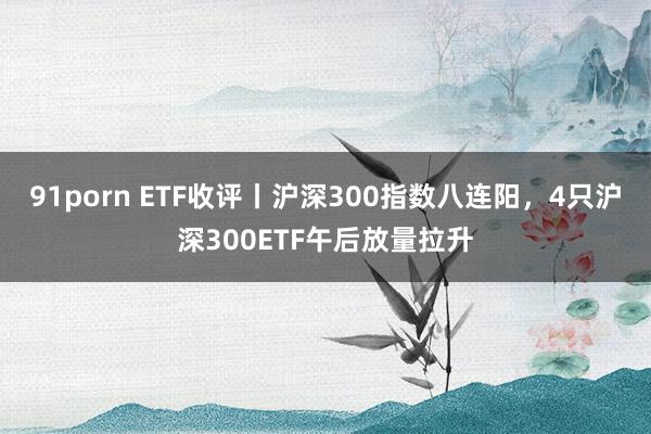 91porn ETF收评丨沪深300指数八连阳，4只沪深300ETF午后放量拉升