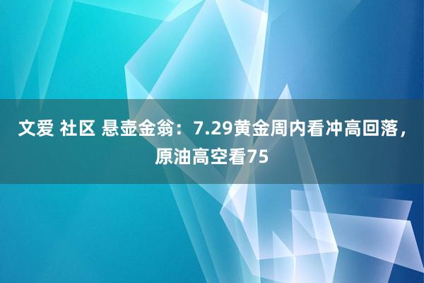 文爱 社区 悬壶金翁：7.29黄金周内看冲高回落，原油高空看75