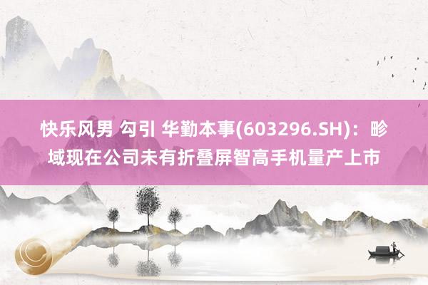 快乐风男 勾引 华勤本事(603296.SH)：畛域现在公司未有折叠屏智高手机量产上市