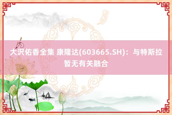 大沢佑香全集 康隆达(603665.SH)：与特斯拉暂无有关融合