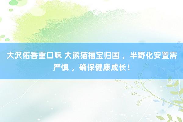 大沢佑香重口味 大熊猫福宝归国 ，半野化安置需严慎 ，确保健康成长！