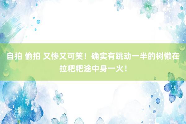 自拍 偷拍 又惨又可笑！确实有跳动一半的树懒在拉粑粑途中身一火！