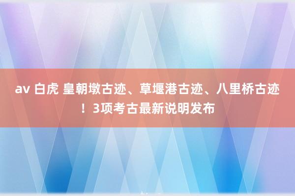 av 白虎 皇朝墩古迹、草堰港古迹、八里桥古迹！3项考古最新说明发布