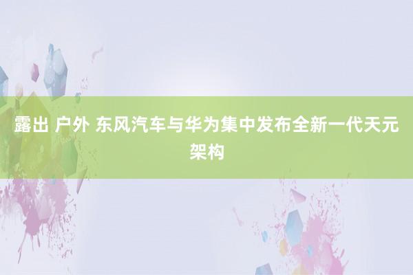 露出 户外 东风汽车与华为集中发布全新一代天元架构