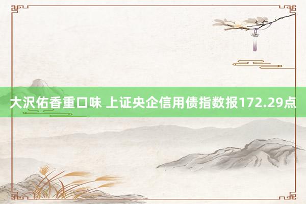 大沢佑香重口味 上证央企信用债指数报172.29点