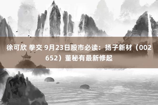 徐可欣 拳交 9月23日股市必读：扬子新材（002652）董秘有最新修起