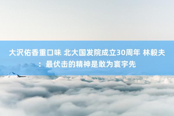 大沢佑香重口味 北大国发院成立30周年 林毅夫：最伏击的精神是敢为寰宇先