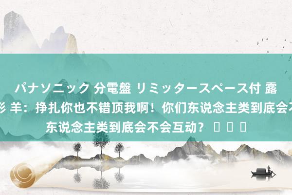 パナソニック 分電盤 リミッタースペース付 露出・半埋込両用形 羊：挣扎你也不错顶我啊！你们东说念主类到底会不会互动？ ​​​