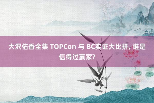 大沢佑香全集 TOPCon 与 BC实证大比拼， 谁是信得过赢家?