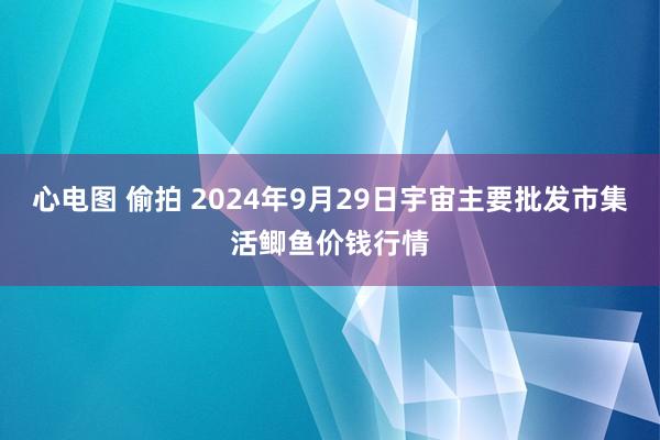 心电图 偷拍 2024年9月29日宇宙主要批发市集活鲫鱼价钱行情