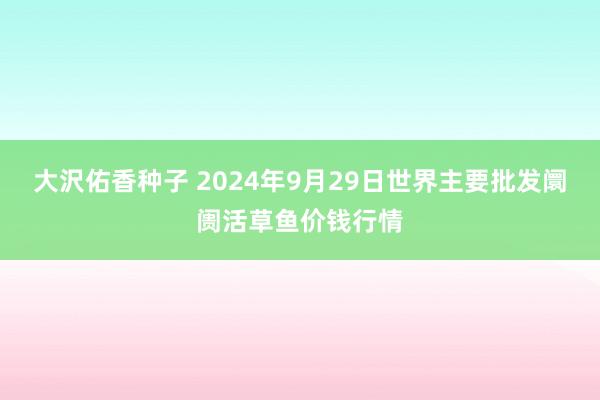 大沢佑香种子 2024年9月29日世界主要批发阛阓活草鱼价钱行情