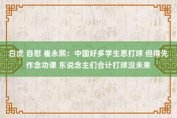 白虎 自慰 崔永熙：中国好多学生思打球 但得先作念功课 东说念主们合计打球没未来