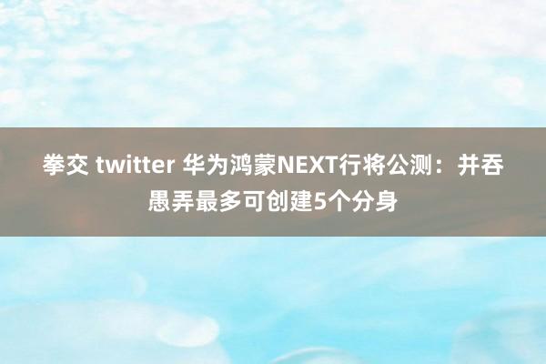 拳交 twitter 华为鸿蒙NEXT行将公测：并吞愚弄最多可创建5个分身