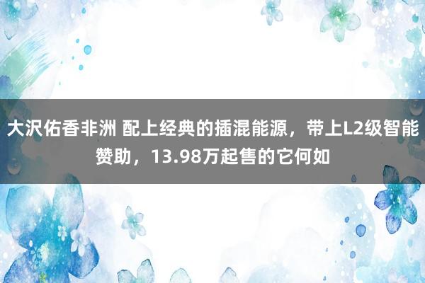 大沢佑香非洲 配上经典的插混能源，带上L2级智能赞助，13.98万起售的它何如