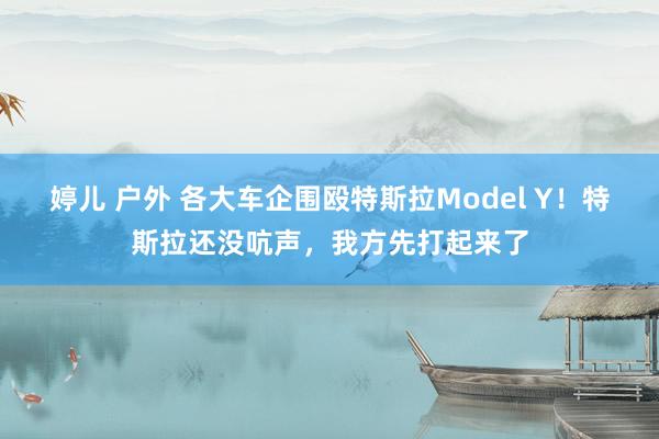 婷儿 户外 各大车企围殴特斯拉Model Y！特斯拉还没吭声，我方先打起来了