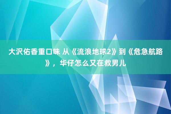 大沢佑香重口味 从《流浪地球2》到《危急航路》，华仔怎么又在救男儿