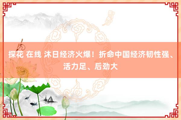 探花 在线 沐日经济火爆！折命中国经济韧性强、活力足、后劲大