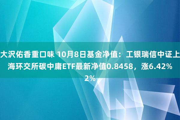 大沢佑香重口味 10月8日基金净值：工银瑞信中证上海环交所碳中庸ETF最新净值0.8458，涨6.42%