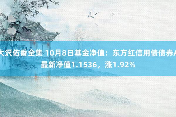 大沢佑香全集 10月8日基金净值：东方红信用债债券A最新净值1.1536，涨1.92%