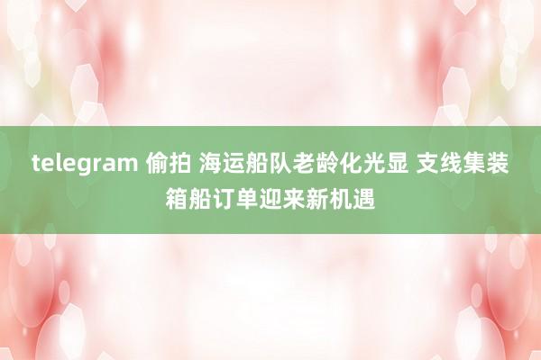 telegram 偷拍 海运船队老龄化光显 支线集装箱船订单迎来新机遇