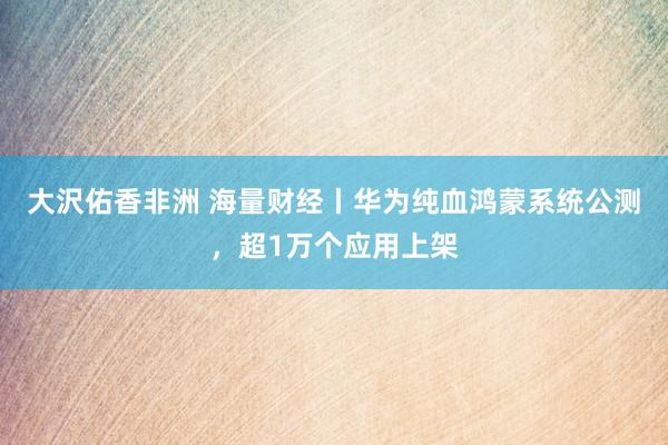 大沢佑香非洲 海量财经丨华为纯血鸿蒙系统公测，超1万个应用上架