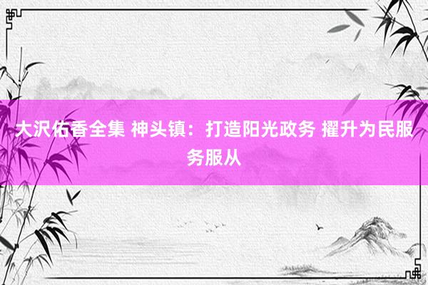 大沢佑香全集 神头镇：打造阳光政务 擢升为民服务服从