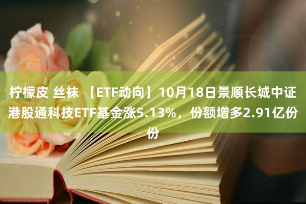 柠檬皮 丝袜 【ETF动向】10月18日景顺长城中证港股通科技ETF基金涨5.13%，份额增多2.91亿份