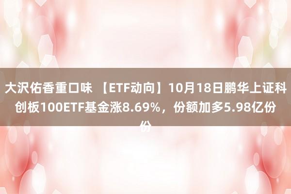 大沢佑香重口味 【ETF动向】10月18日鹏华上证科创板100ETF基金涨8.69%，份额加多5.98亿份