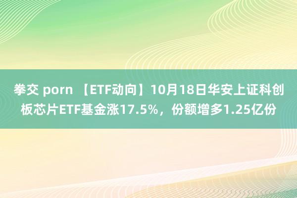 拳交 porn 【ETF动向】10月18日华安上证科创板芯片ETF基金涨17.5%，份额增多1.25亿份