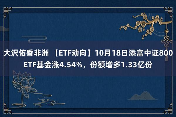 大沢佑香非洲 【ETF动向】10月18日添富中证800ETF基金涨4.54%，份额增多1.33亿份