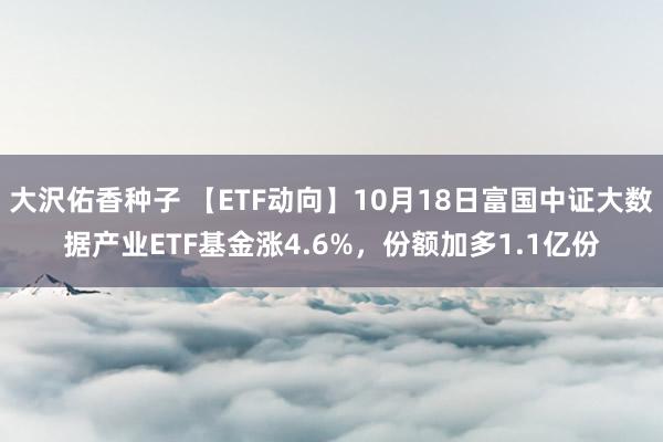 大沢佑香种子 【ETF动向】10月18日富国中证大数据产业ETF基金涨4.6%，份额加多1.1亿份