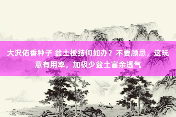 大沢佑香种子 盆土板结何如办？不要顾忌，这玩意有用率，加极少盆土富余透气