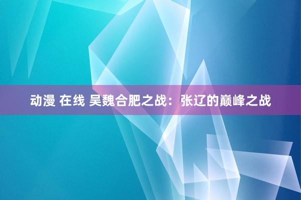 动漫 在线 吴魏合肥之战：张辽的巅峰之战