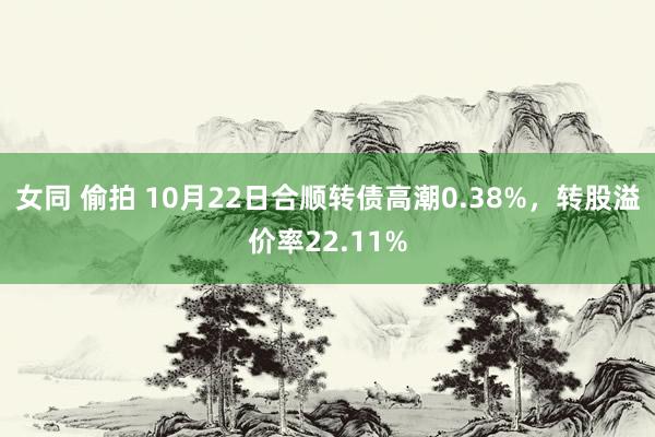 女同 偷拍 10月22日合顺转债高潮0.38%，转股溢价率22.11%