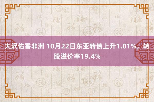 大沢佑香非洲 10月22日东亚转债上升1.01%，转股溢价率19.4%