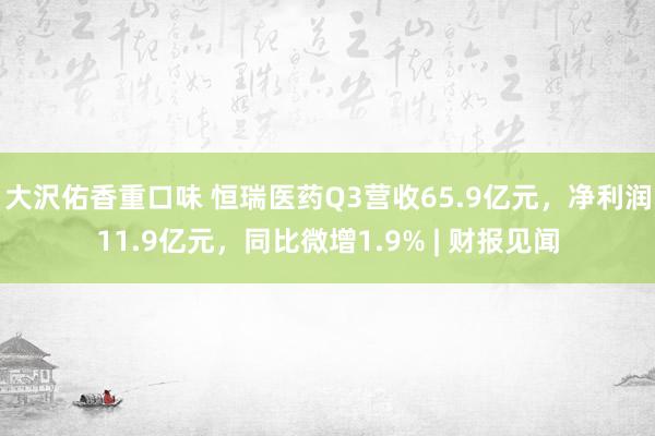 大沢佑香重口味 恒瑞医药Q3营收65.9亿元，净利润11.9亿元，同比微增1.9% | 财报见闻