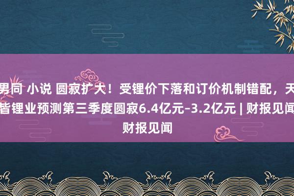 男同 小说 圆寂扩大！受锂价下落和订价机制错配，天皆锂业预测第三季度圆寂6.4亿元–3.2亿元 | 财报见闻