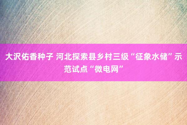 大沢佑香种子 河北探索县乡村三级“征象水储”示范试点“微电网”