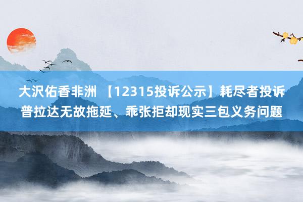 大沢佑香非洲 【12315投诉公示】耗尽者投诉普拉达无故拖延、乖张拒却现实三包义务问题