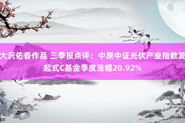 大沢佑香作品 三季报点评：中原中证光伏产业指数发起式C基金季度涨幅20.92%