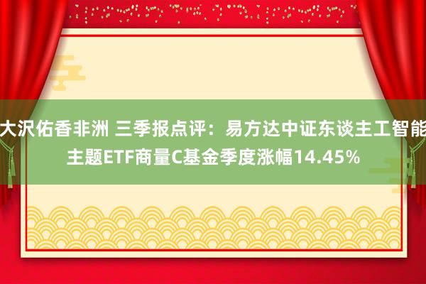 大沢佑香非洲 三季报点评：易方达中证东谈主工智能主题ETF商量C基金季度涨幅14.45%