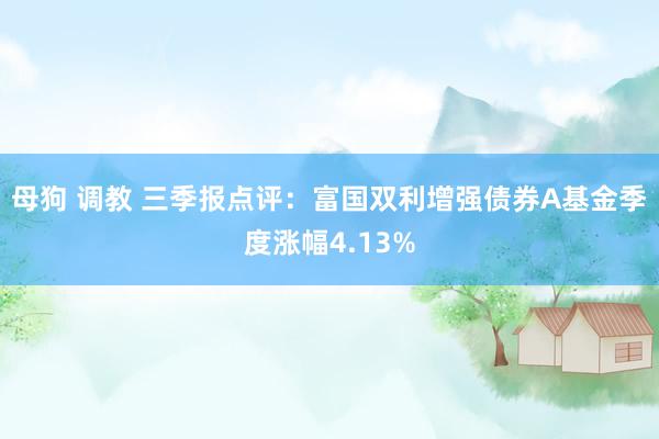 母狗 调教 三季报点评：富国双利增强债券A基金季度涨幅4.13%